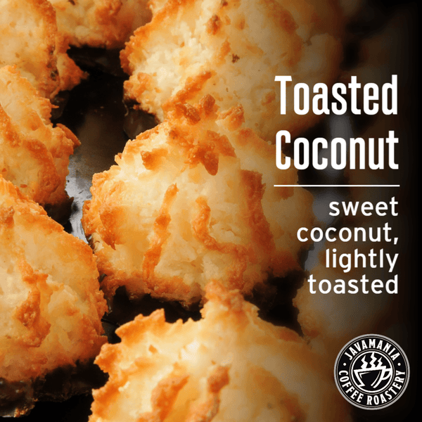 Toasted Coconut - JavaMania Pro